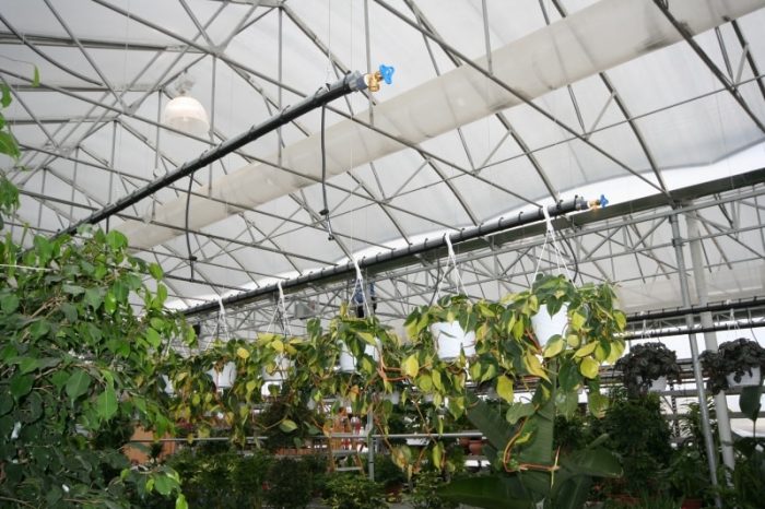 Système irrigation Oasis Rive-sud