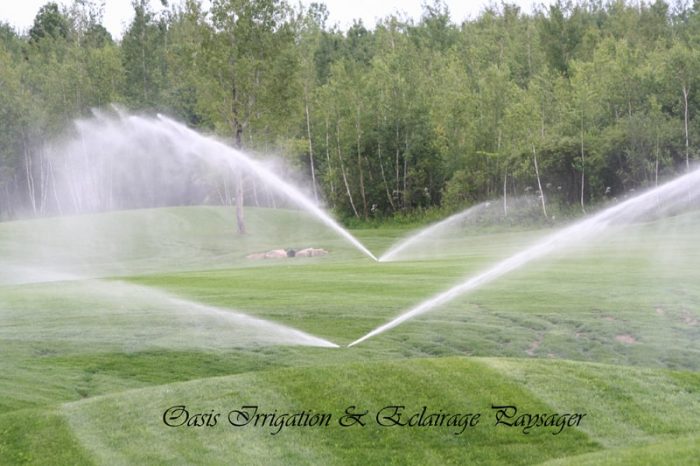 Irrigation-Oasis-arrosage