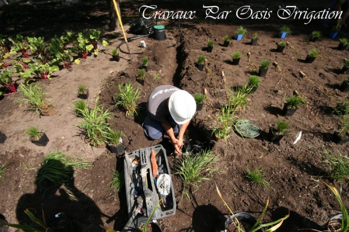 Système irrigation Oasis Rive-sud
